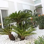 Soglow Business Class Hotel