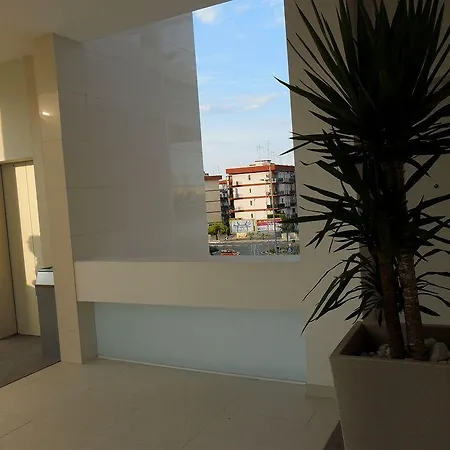 Soglow Business Class مولفيتا