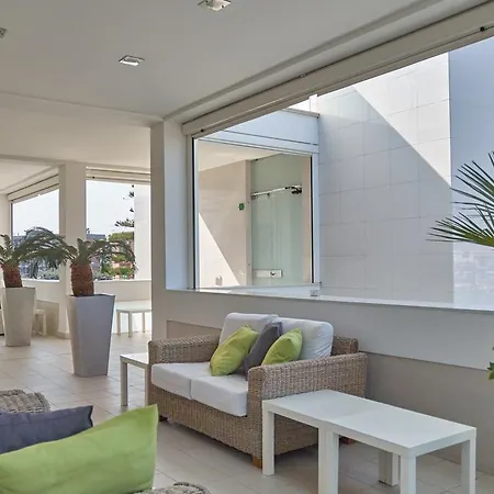 Soglow Business Class مولفيتا