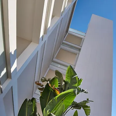 فندق Soglow Business Class