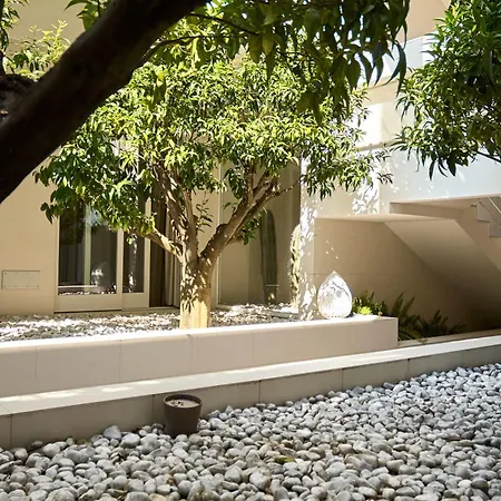 Soglow Business Class فندق