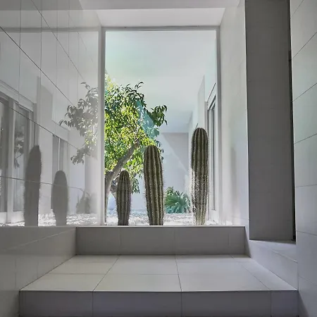 Soglow Business Class 4*