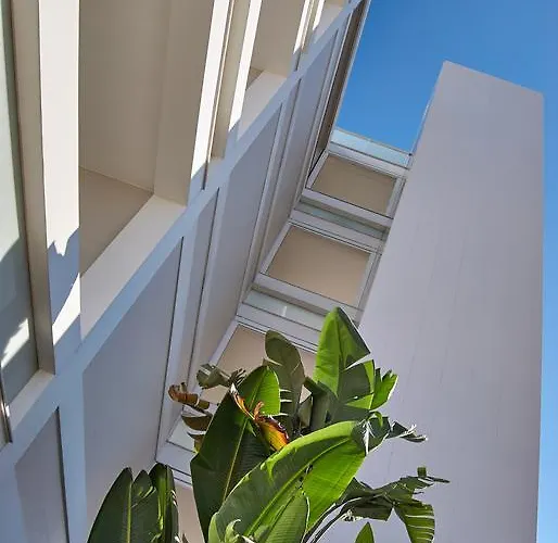 Отель Soglow Business Class