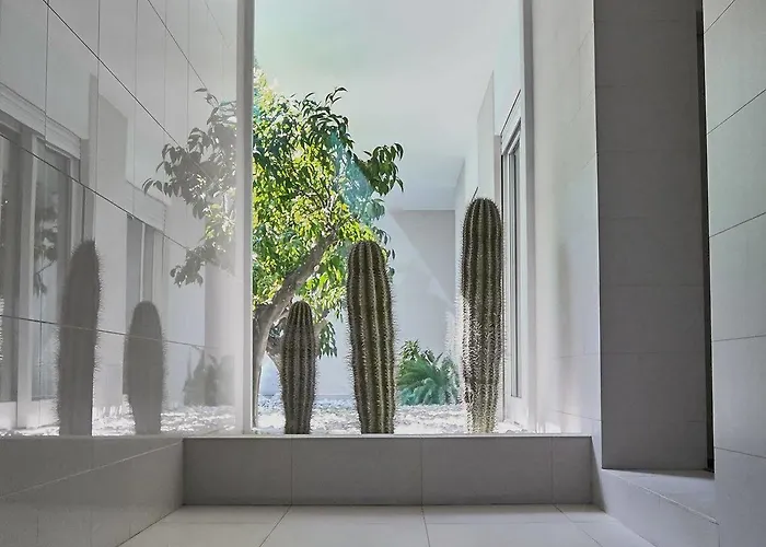 Soglow Business Class 4*